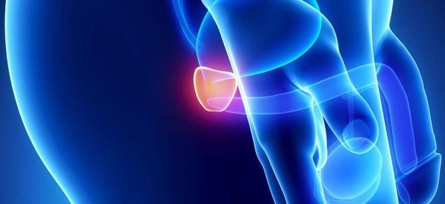 Может ли болеть поясница и низ живота при простатите и остром простатите у мужчин