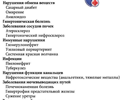 При пиелонефрите преимущественно поражаются почки Неотложная помощь при остром пиелонефрите и гематурии