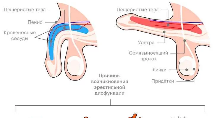 Активная половая жизнь после 50?
