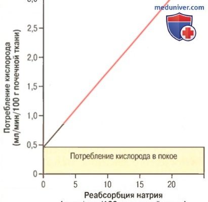Почечная недостаточность. Причины, симптомы, признаки, диагностика и лечение патологии